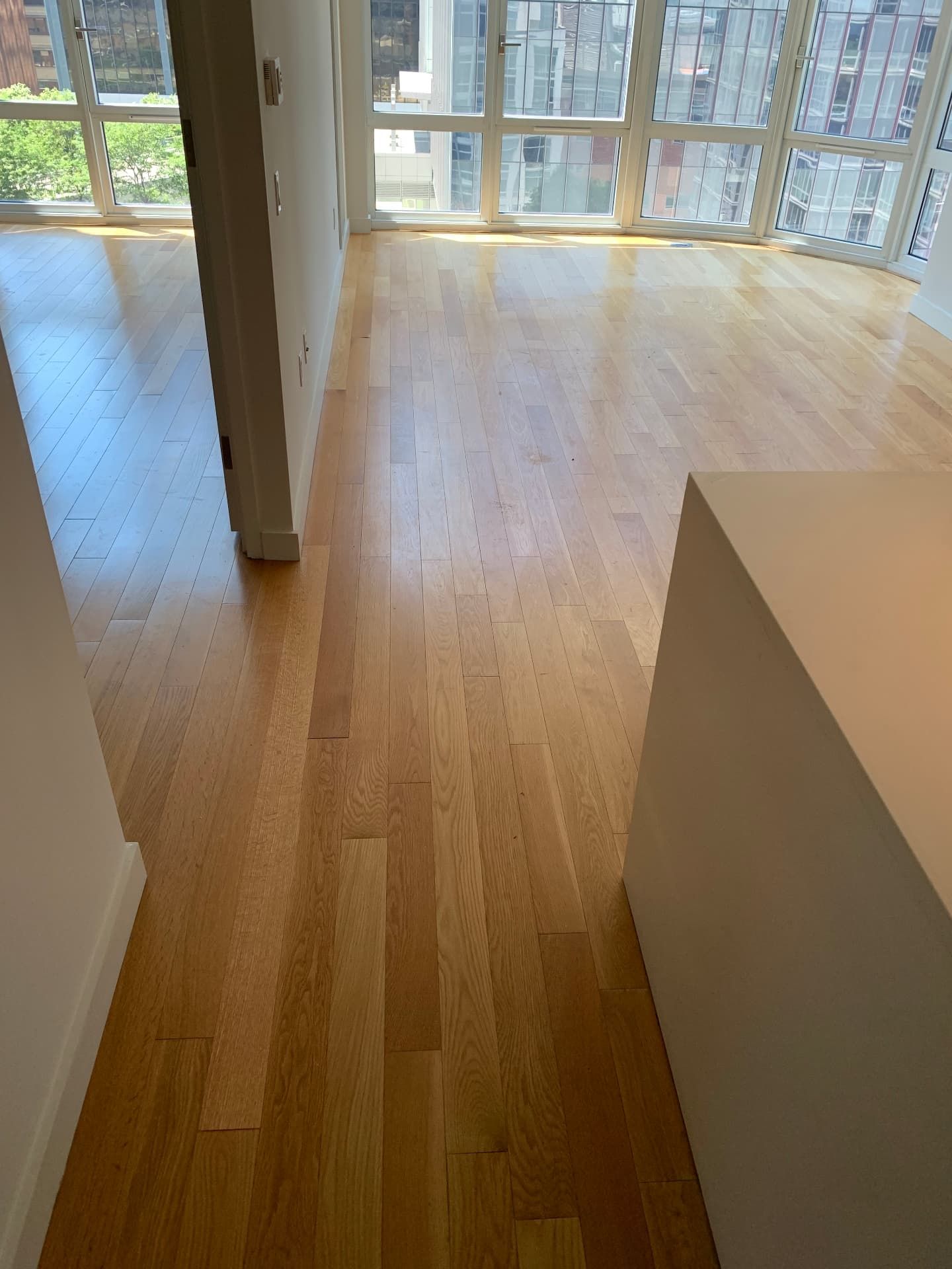 Light maple hardwood flooring in a sunlit high-rise living room
